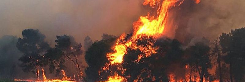 Airfeu 2017 un año difícil ante los incendios forestales