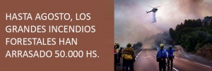 HASTA AGOSTO, LOS GRANDES INCENDIOS FORESTALES HAN ARRASADO 50.000 HS.