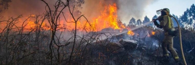 La Comunitat cierra 2020 con el menor número de incendios de la historia desde que se tienen registros