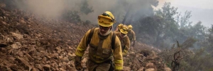 Clamor ante la oleada incesante de incendios forestales: &quot;es necesario cambiar las políticas de lucha contra incendios&quot;